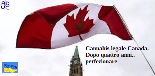 ADUC – Article – Legal Cannabis Canada.  Four years later.. Perfect