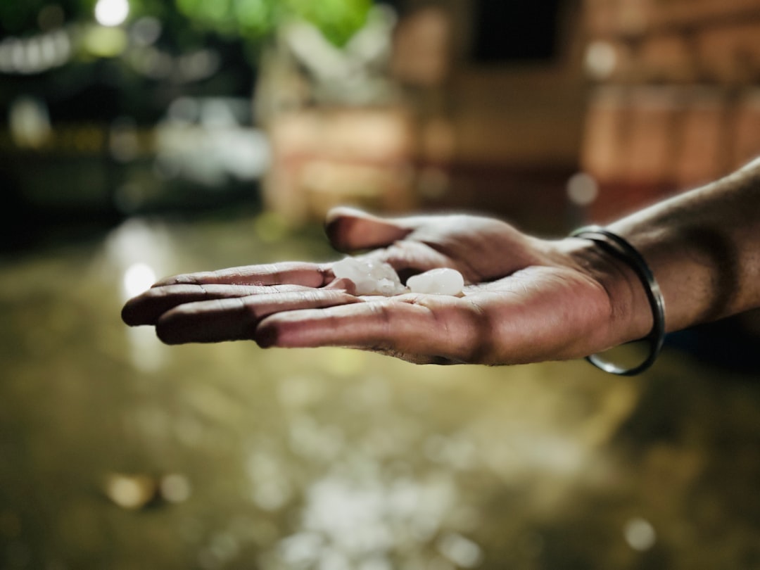 Shameer S - Unsplash