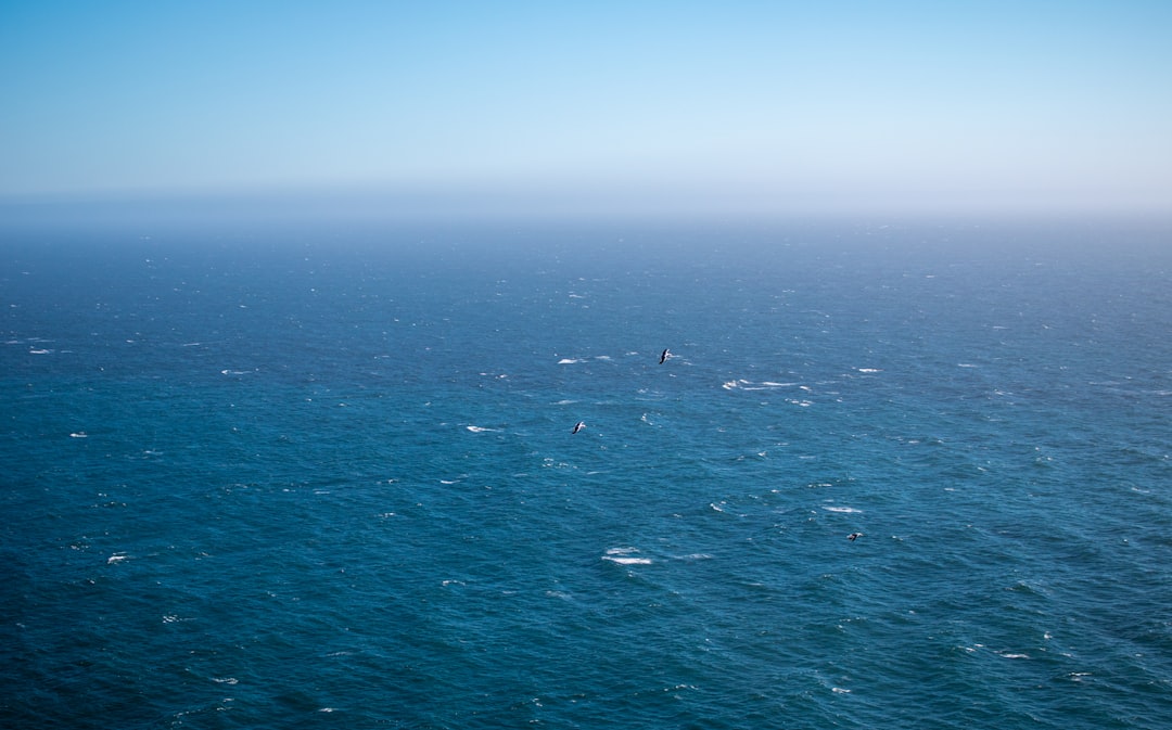 Zoshua Colah - Unsplash