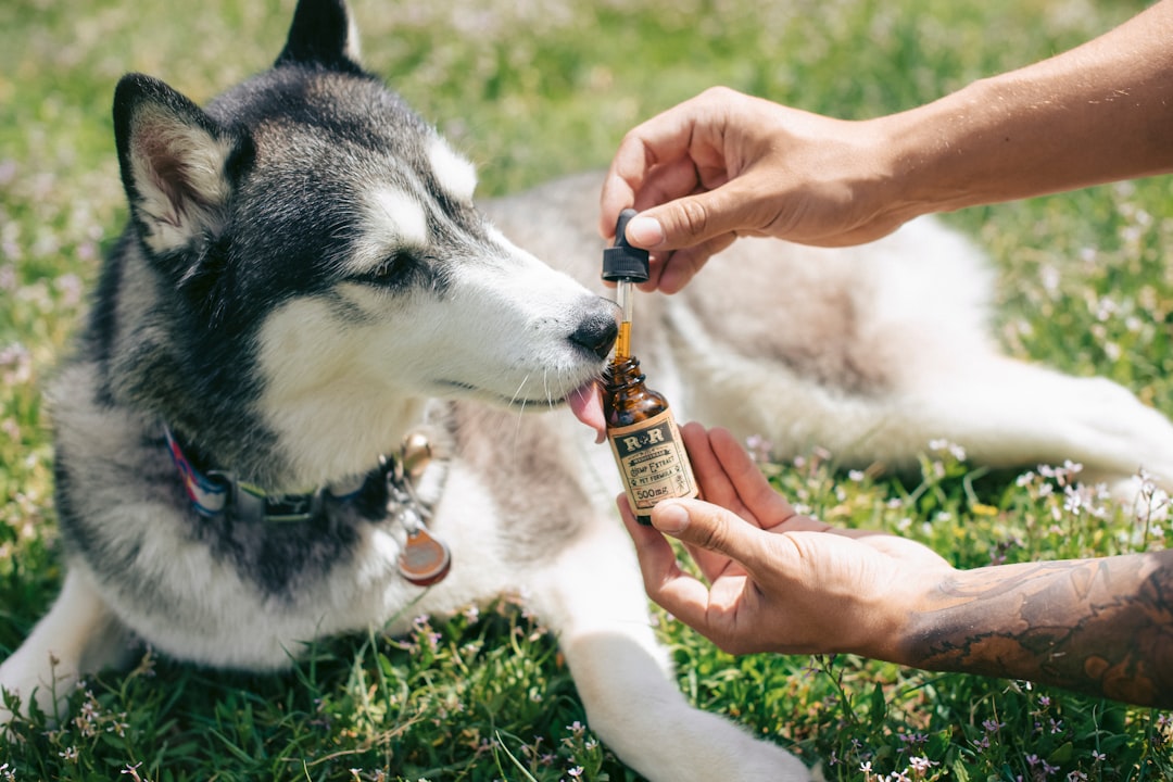 R+R Medicinals - Unsplash