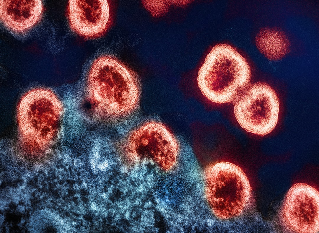 National Institute of Allergy and Infectious Diseases - Unsplash