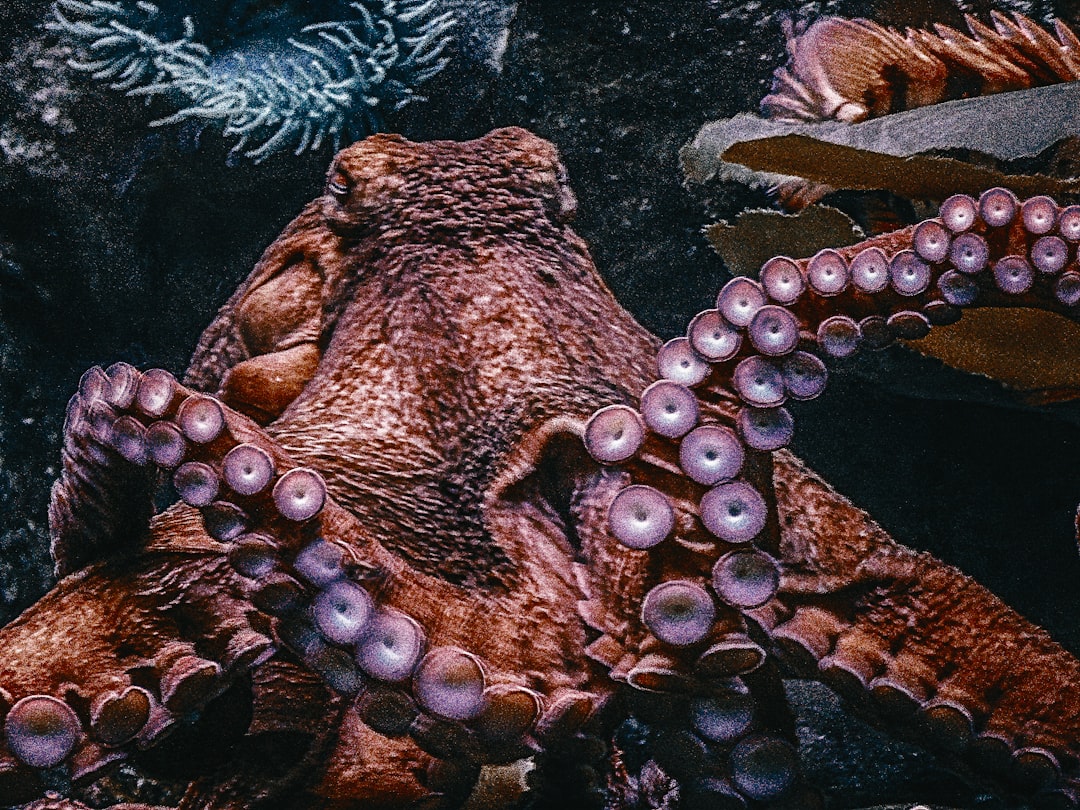 K. Mitch Hodge - Unsplash
