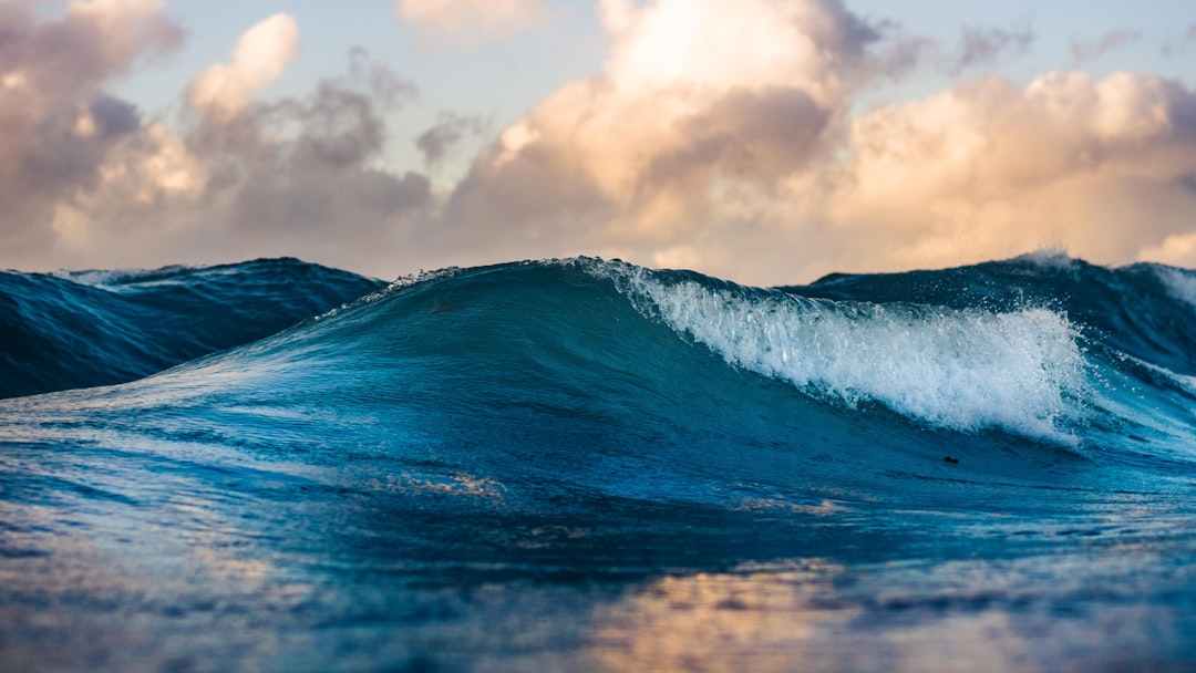 Silas Baisch - Unsplash