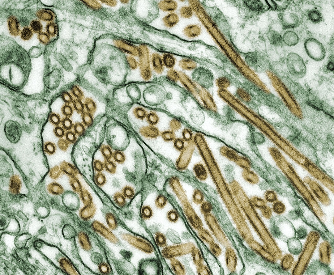 CDC - Unsplash